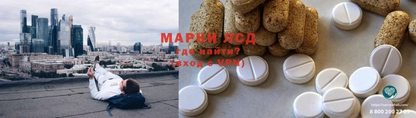 индика Абинск