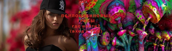 индика Абинск