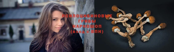 гидропоника Абдулино