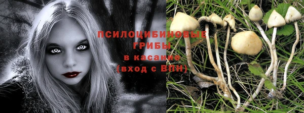 гидропоника Абдулино