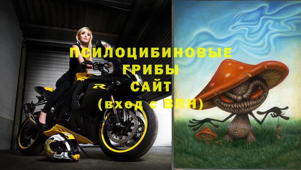 спайс Абаза