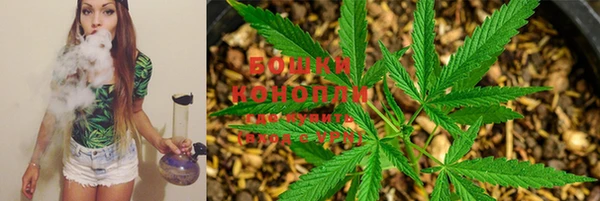 гидропоника Абдулино