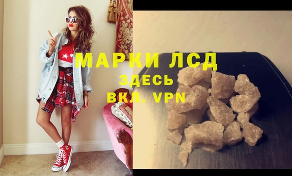 индика Абинск