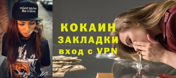 индика Абинск